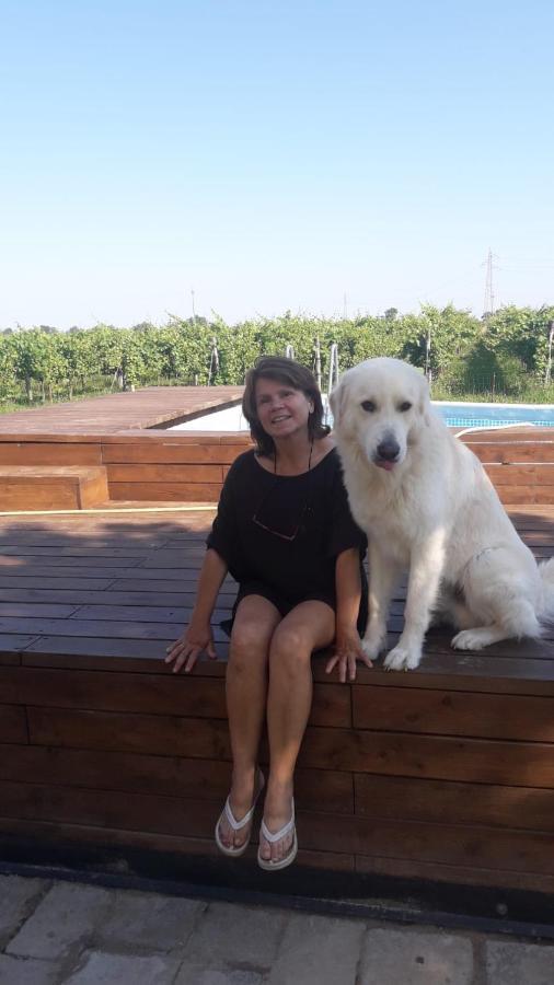 Tenuta Crescentini-Vallemura ,Appartamenti Con Entrata Indipendente San Donà di Piave Eksteriør billede