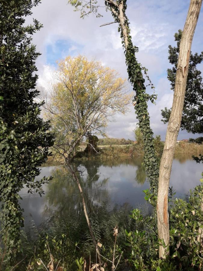 Tenuta Crescentini-Vallemura ,Appartamenti Con Entrata Indipendente San Donà di Piave Eksteriør billede