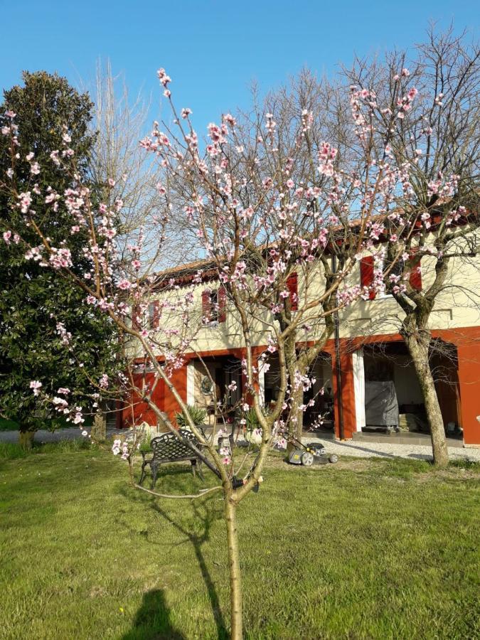 Tenuta Crescentini-Vallemura ,Appartamenti Con Entrata Indipendente San Donà di Piave Eksteriør billede