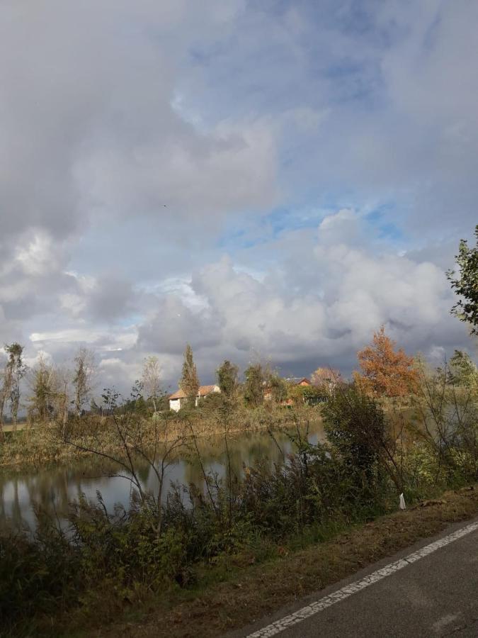 Tenuta Crescentini-Vallemura ,Appartamenti Con Entrata Indipendente San Donà di Piave Eksteriør billede