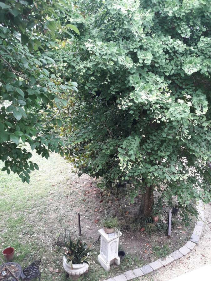 Tenuta Crescentini-Vallemura ,Appartamenti Con Entrata Indipendente San Donà di Piave Eksteriør billede