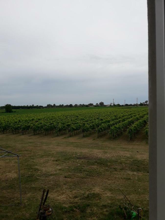 Tenuta Crescentini-Vallemura ,Appartamenti Con Entrata Indipendente San Donà di Piave Eksteriør billede