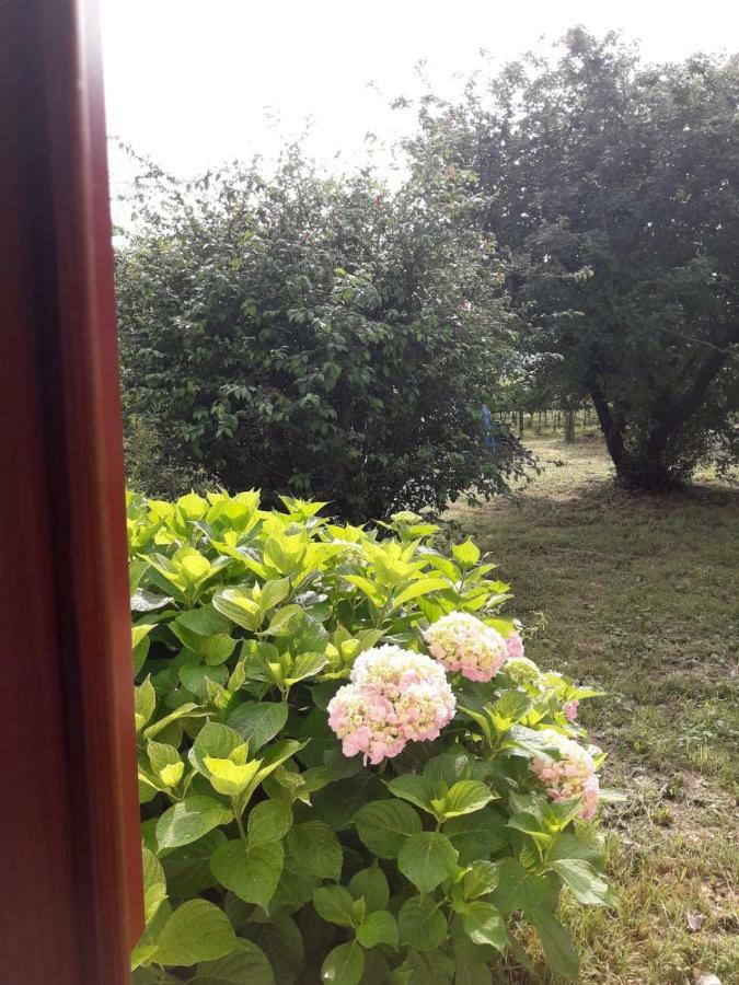 Tenuta Crescentini-Vallemura ,Appartamenti Con Entrata Indipendente San Donà di Piave Eksteriør billede