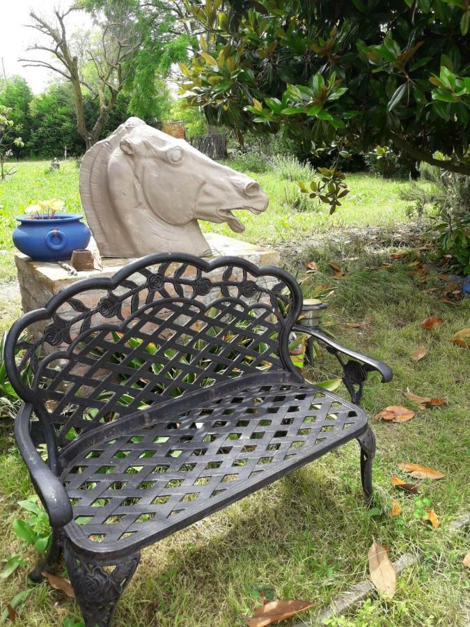 Tenuta Crescentini-Vallemura ,Appartamenti Con Entrata Indipendente San Donà di Piave Eksteriør billede