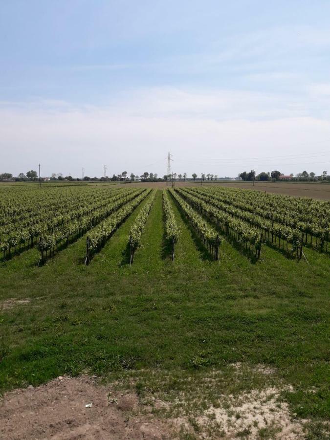 Tenuta Crescentini-Vallemura ,Appartamenti Con Entrata Indipendente San Donà di Piave Eksteriør billede
