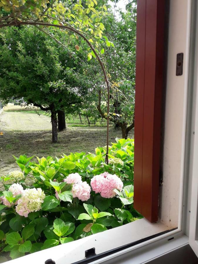 Tenuta Crescentini-Vallemura ,Appartamenti Con Entrata Indipendente San Donà di Piave Eksteriør billede