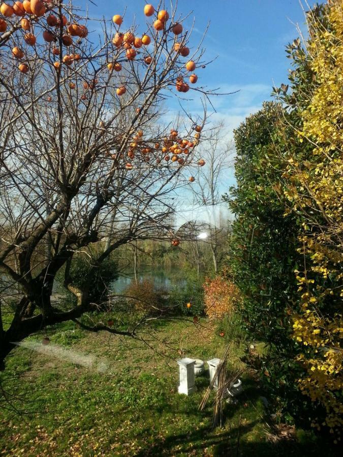 Tenuta Crescentini-Vallemura ,Appartamenti Con Entrata Indipendente San Donà di Piave Eksteriør billede