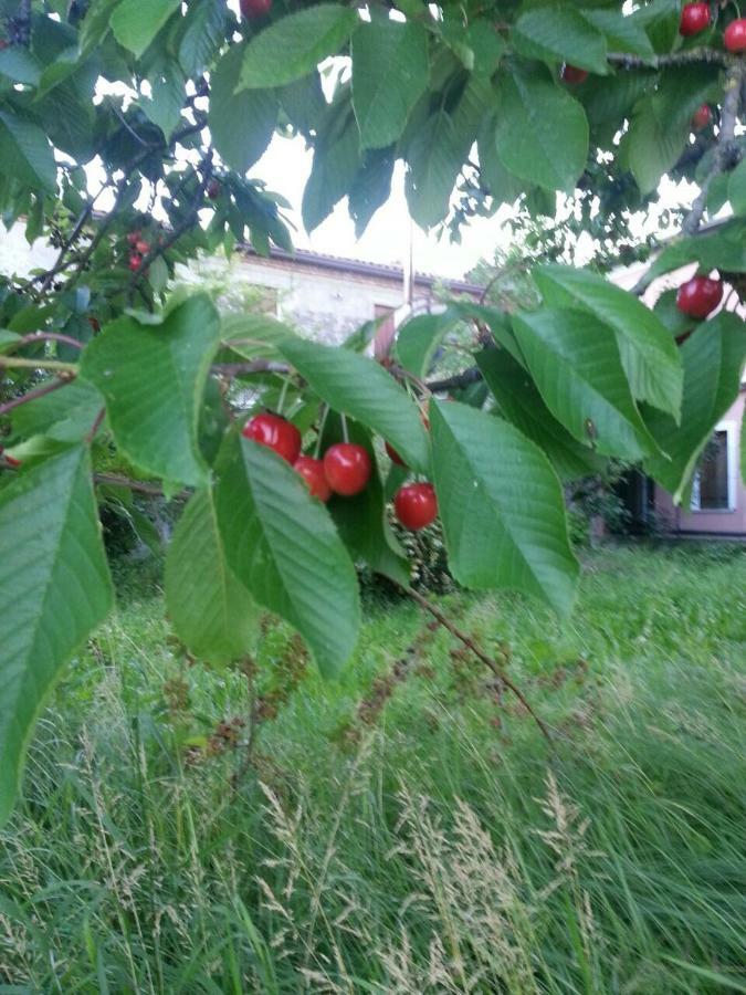 Tenuta Crescentini-Vallemura ,Appartamenti Con Entrata Indipendente San Donà di Piave Eksteriør billede