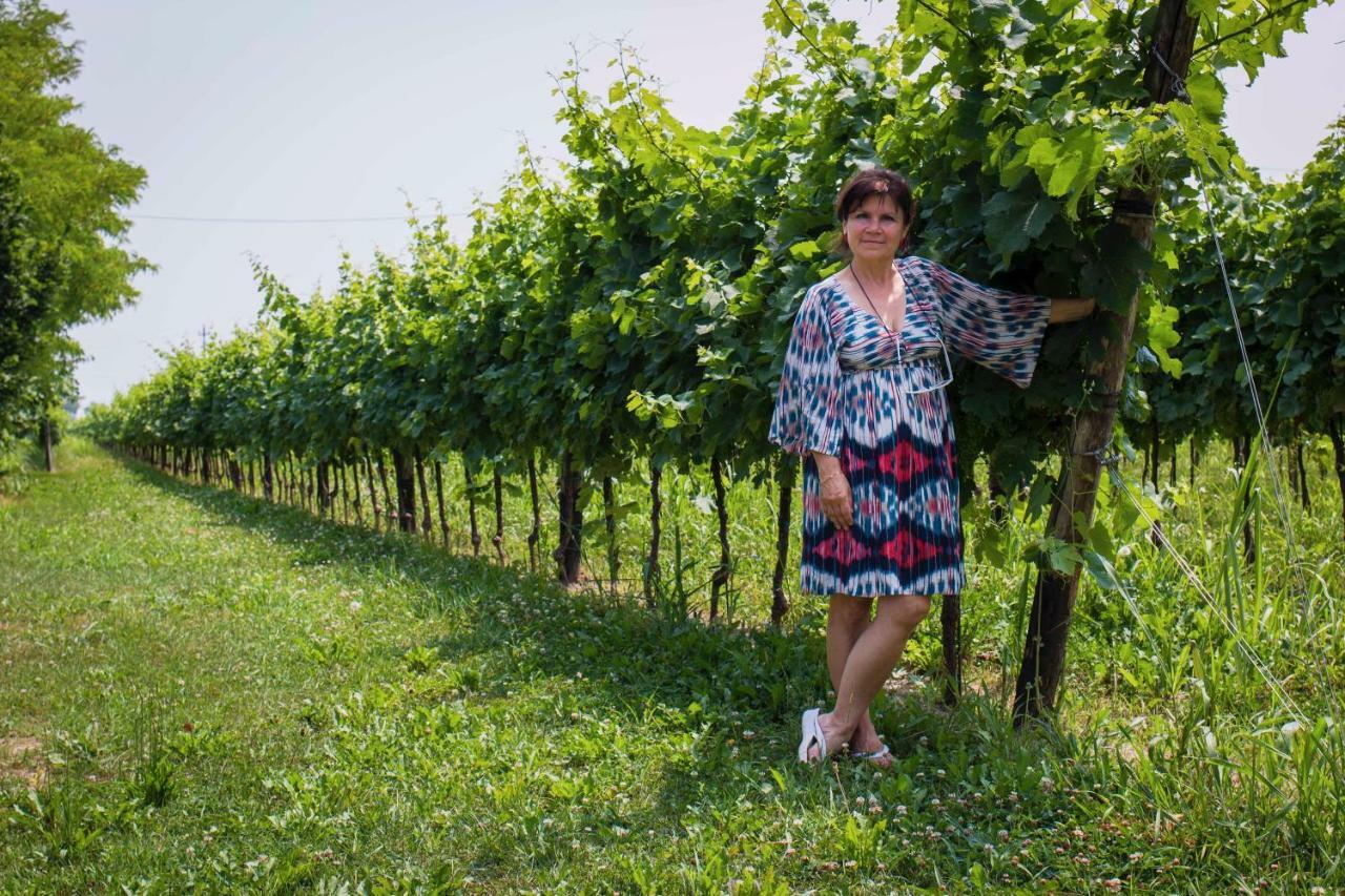 Tenuta Crescentini-Vallemura ,Appartamenti Con Entrata Indipendente San Donà di Piave Eksteriør billede